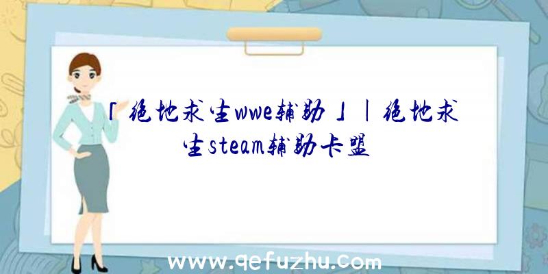 「绝地求生wwe辅助」|绝地求生steam辅助卡盟